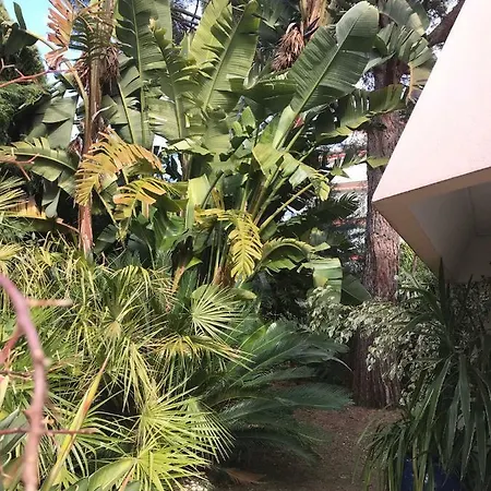 Daire 19 Rue Du Parc Alexandre Iii