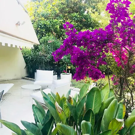 19 Rue Du Parc Alexandre Iii